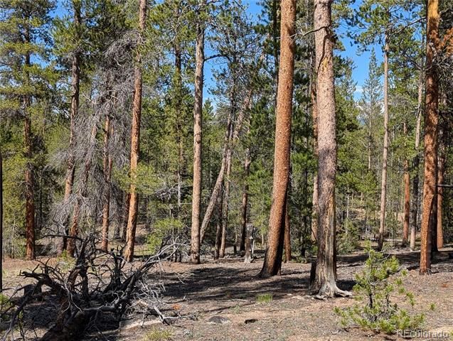 495 Birch Drive, Twin Lakes, CO 81251