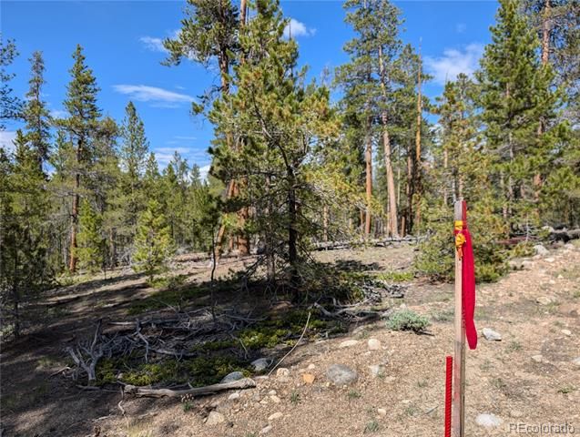 495 Birch Drive, Twin Lakes, CO 81251