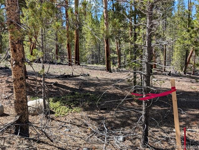 495 Birch Drive, Twin Lakes, CO 81251
