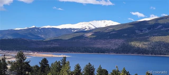 495 Birch Drive, Twin Lakes, CO 81251