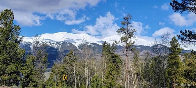495 Birch Drive, Twin Lakes, CO 81251