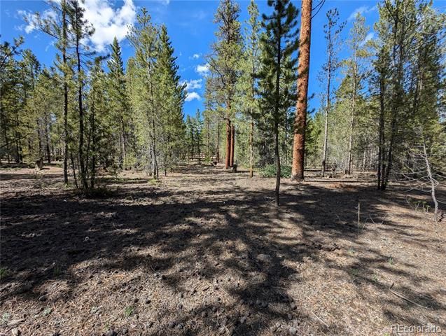 495 Birch Drive, Twin Lakes, CO 81251