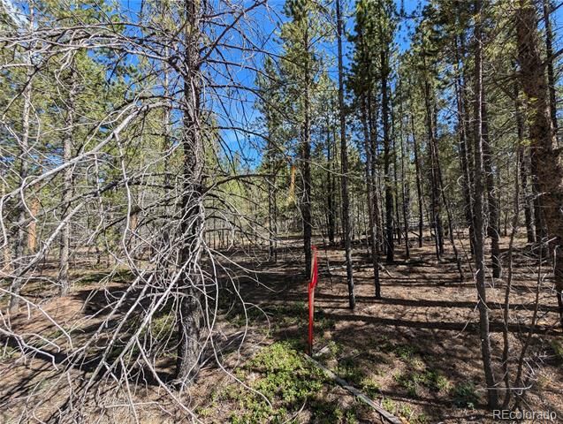 495 Birch Drive, Twin Lakes, CO 81251