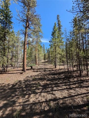 495 Birch Drive, Twin Lakes, CO 81251