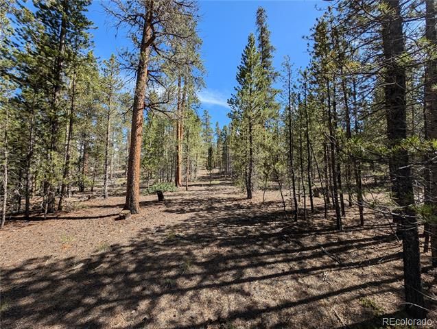 495 Birch Drive, Twin Lakes, CO 81251