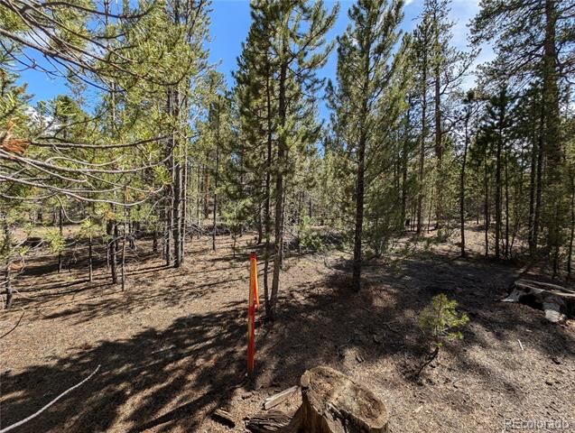 495 Birch Drive, Twin Lakes, CO 81251