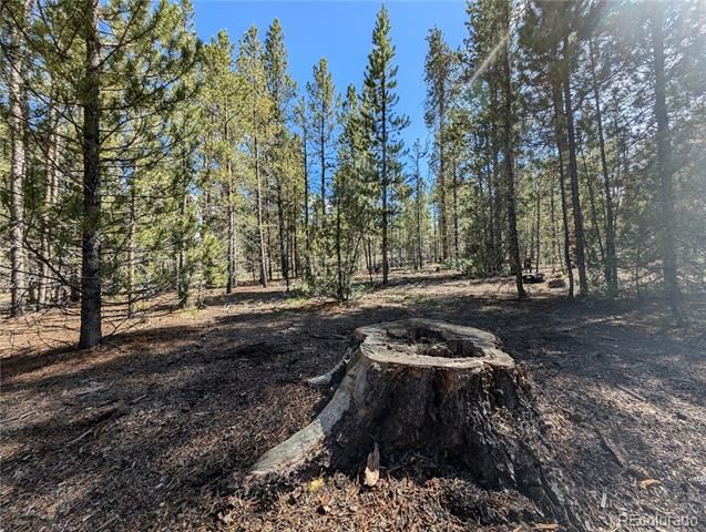 495 Birch Drive, Twin Lakes, CO 81251