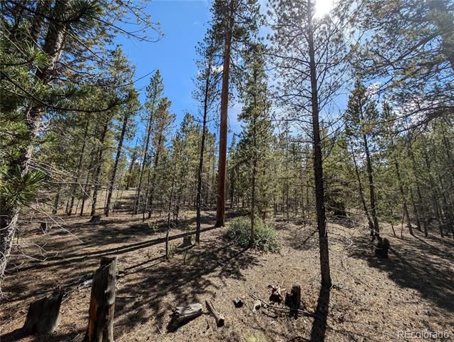 495 Birch Drive, Twin Lakes, CO 81251