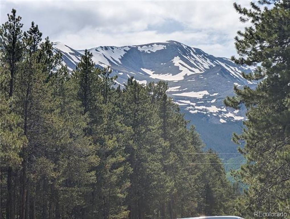 495 Birch Drive, Twin Lakes, CO 81251