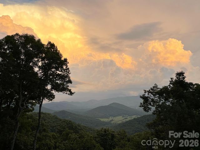 30 Wedgewood Terrace, Black Mountain, NC 28711