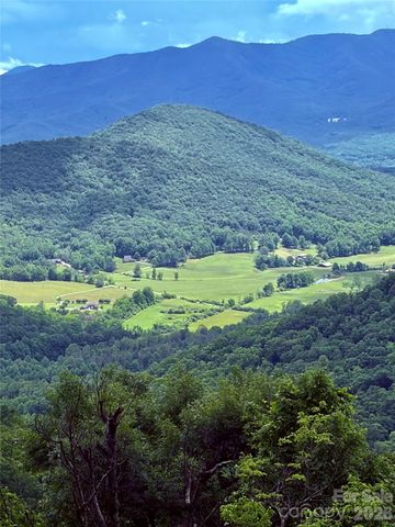 30 Wedgewood Terrace, Black Mountain, NC 28711