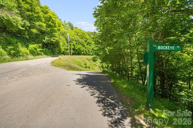 10 Buckeye Road 10, Mars Hill, NC 28754