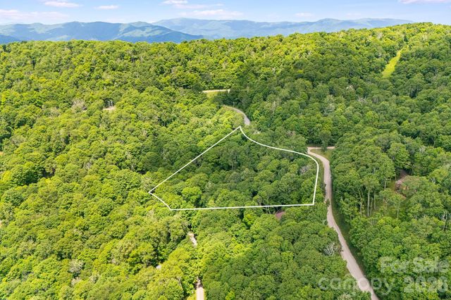 10 Buckeye Road 10, Mars Hill, NC 28754