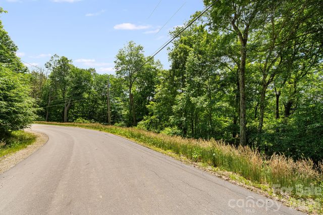10 Buckeye Road 10, Mars Hill, NC 28754