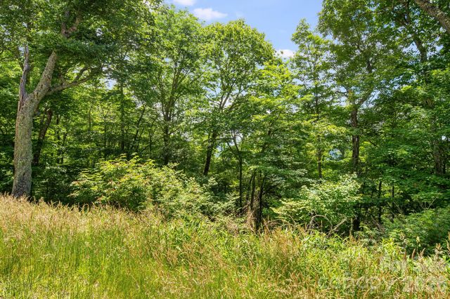 10 Buckeye Road 10, Mars Hill, NC 28754