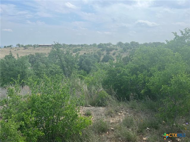 Lot 63 Summit Ledge Drive, Johnson City, TX 78636
