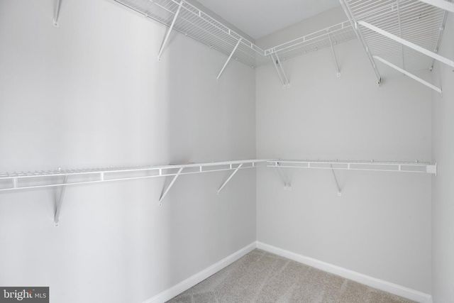 13246 ALCOVE PATH, Centreville, VA 20120