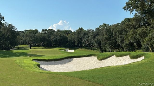 2572 N Crosswater Path, Lecanto, FL 34461