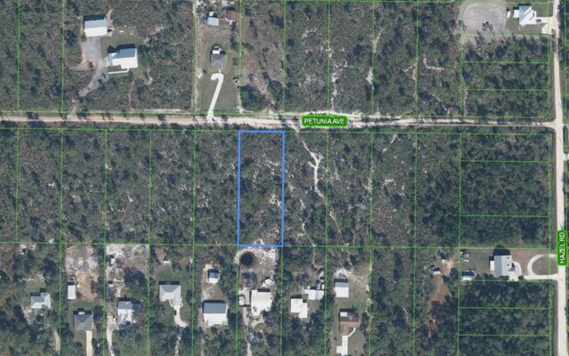 2013 Petunia Avenue, Sebring, FL 33875