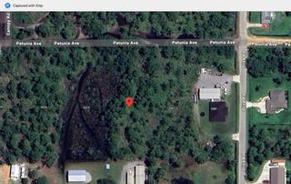 2013 Petunia Avenue, Sebring, FL 33875