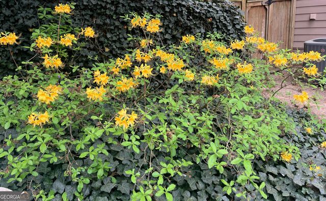 382 Penwood Trail, Dacula, GA 30019