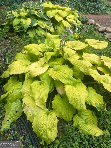 382 Penwood Trail, Dacula, GA 30019