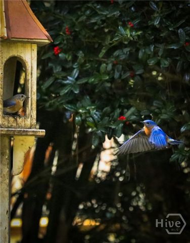 41 Grimball Point Road, Savannah, GA 31406