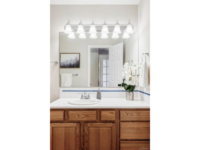 212 Mulligan Lake Dr, Mead, CO 80542