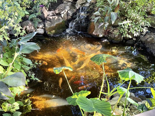 1423 Southwood Way, Roseville, CA 95747