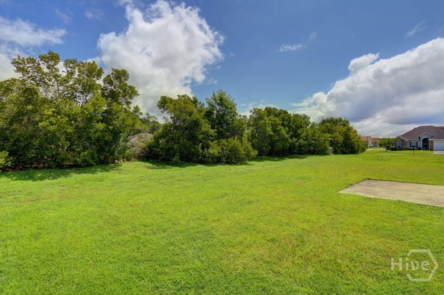 20 Evergreen Oak Drive, Richmond Hill, GA 31324