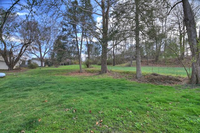 1133 E Main Street, Blue Ridge, GA 30513