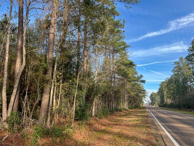 6 Tall Cotton Road, Saratoga, TX 77585