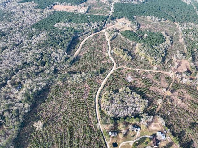 6 Tall Cotton Road, Saratoga, TX 77585
