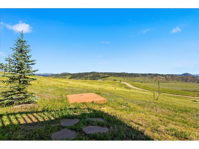 114 Bobcat Mountain Ct, Livermore, CO 80536