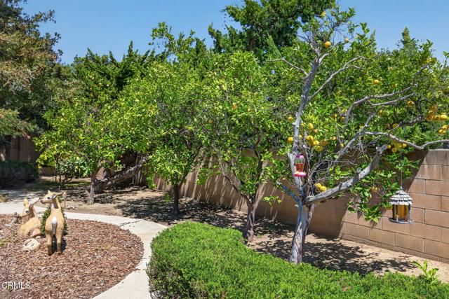 860 Greensboro Road, Ventura, CA 93004