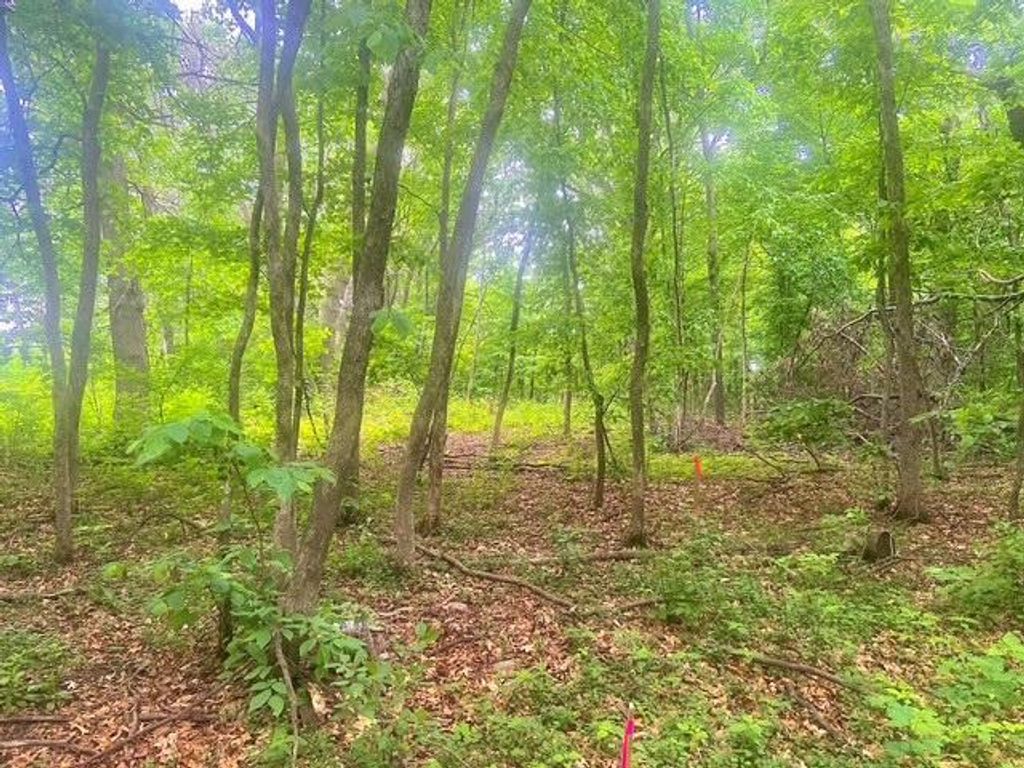 25410 98th Street NW, Zimmerman, MN 55398