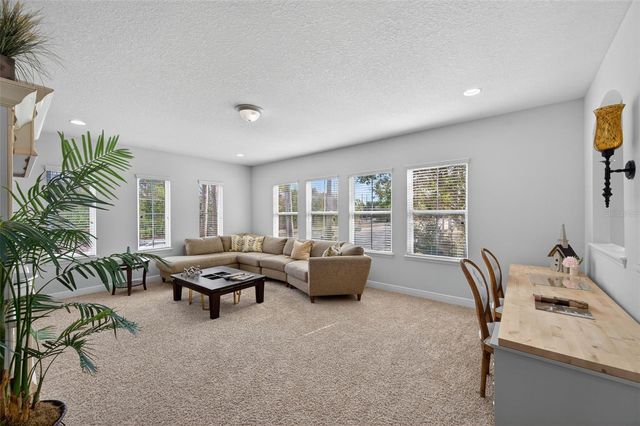 17019 VILESTA DRIVE, Lutz, FL 33548