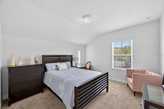 17019 VILESTA DRIVE, Lutz, FL 33548