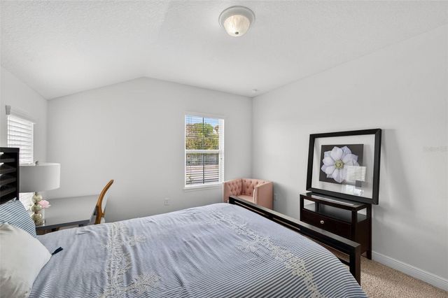 17019 VILESTA DRIVE, Lutz, FL 33548