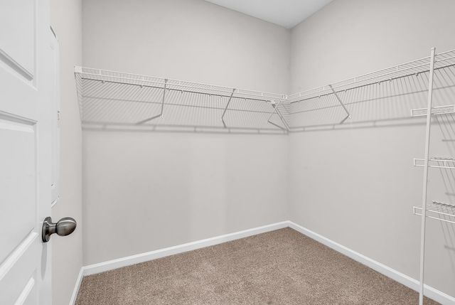 719 Colt Ct., Conway, SC 29527