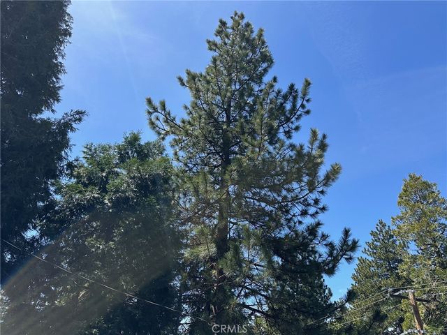 2551 Rim Of The World Drive, Running Springs, CA 92382