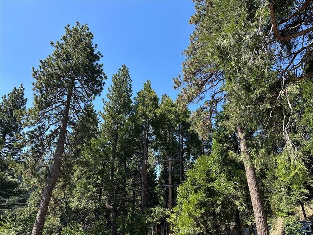 2551 Rim Of The World Drive, Running Springs, CA 92382
