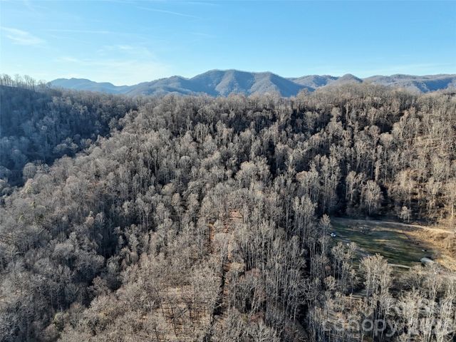 672 Porters Ridge, Canton, NC 28716