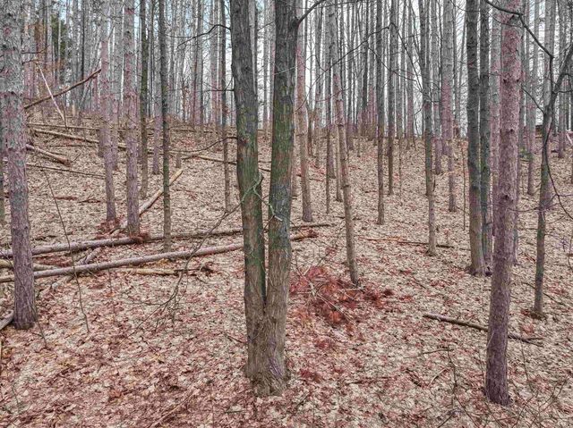 0.65 acres Barnes Road, Traverse City, MI 49684