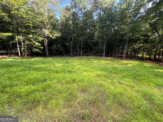 238 Signing Tree Trail, Clarkesville, GA 30523