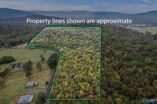 18 Acres Little Arkansas Road, Woodville, AL 35776