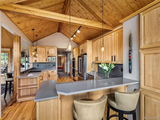 1793 Falcon Dr, Silverthorne, CO 80498