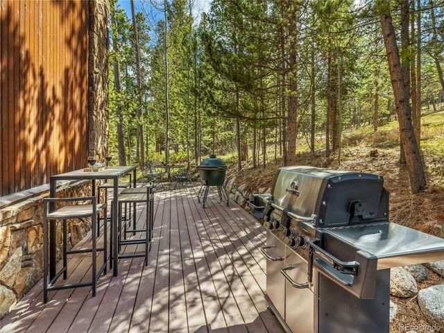 1793 Falcon Dr, Silverthorne, CO 80498