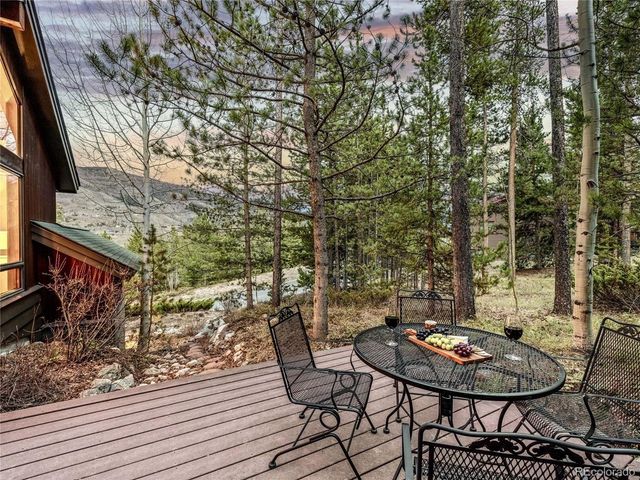 1793 Falcon Dr, Silverthorne, CO 80498
