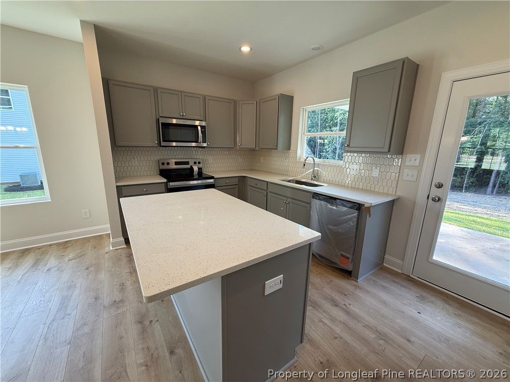 398 Grand Griffon Way, Lillington, NC 27546 — photo 4